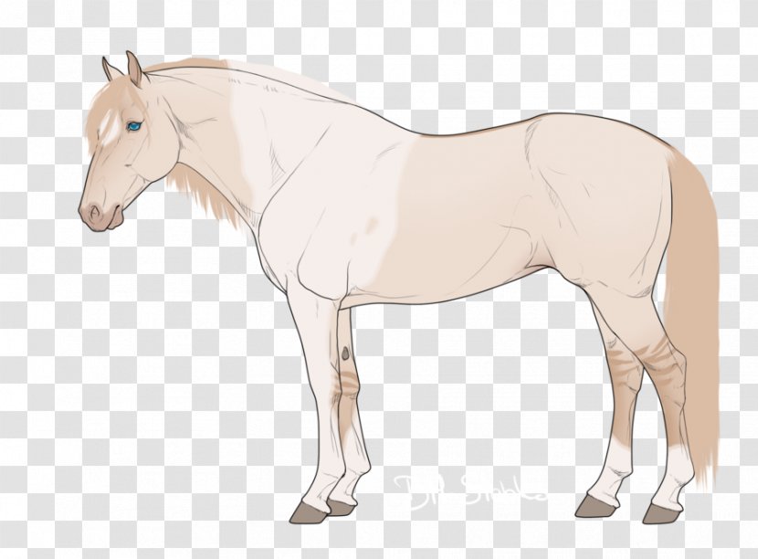 Foal Mare Mustang Stallion Rein - Watercolor Transparent PNG