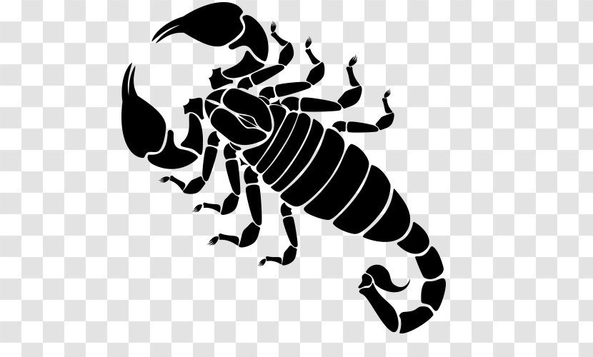 Scorpion Henna Mehndi Tattoo Constellation - Black And White - Scorpio Zodiac Transparent PNG