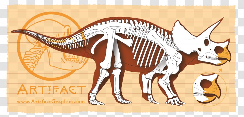 Horned Dinosaurs Triceratops The Ceratopsia: Based On Preliminary Studies By Othniel C. Marsh Tyrannosaurus - Museum - Dinosaur Transparent PNG