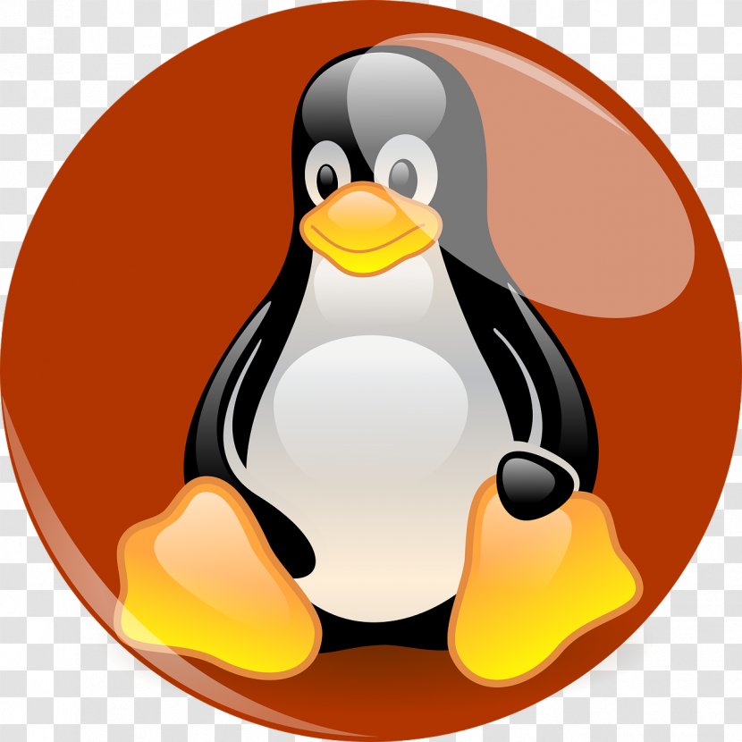 Tux Racer Penguin Red Hat Software Enterprise Linux - Distribution Transparent PNG