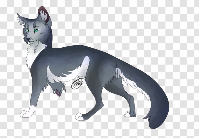 Whiskers Kitten Cat Dog Canidae - Tail Transparent PNG