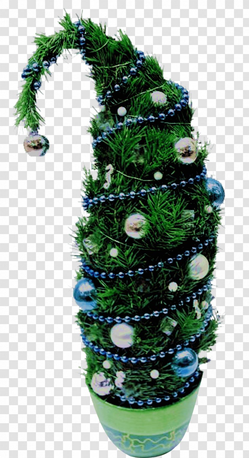 Christmas Tree Spruce Day Ornament Fir - Pine Transparent PNG