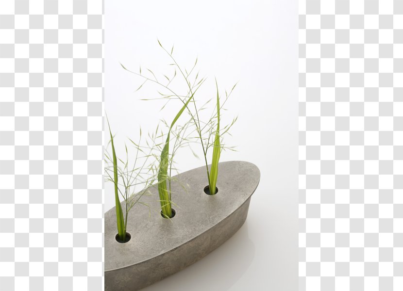 Grasses Flowerpot Ikebana - Vase - Design Transparent PNG