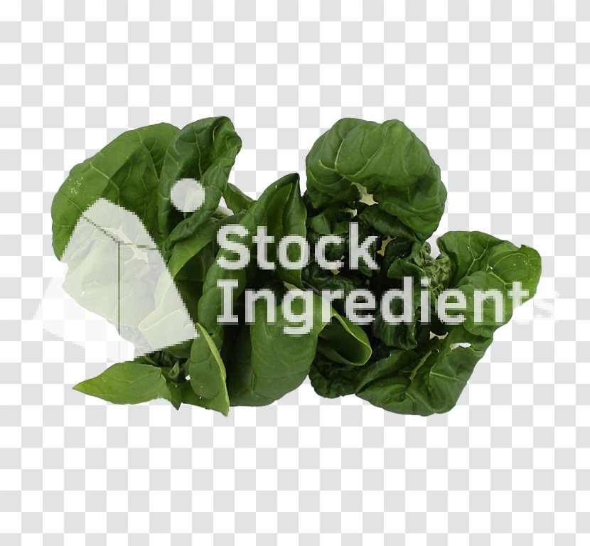Spring Greens Leaf Vegetable - Plant Transparent PNG