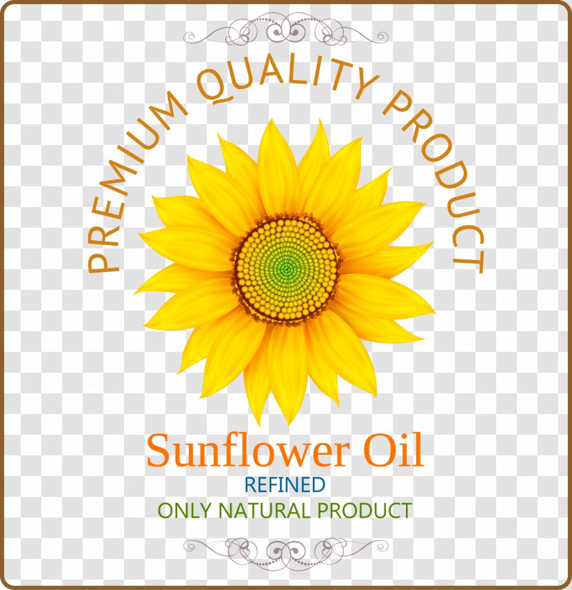 Common Sunflower Oil - Flowering Plant - Cover Pattern Transparent PNG