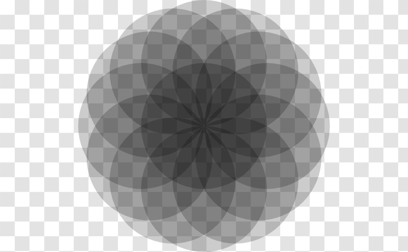 Grey Symmetry White Pattern - Black - Design Transparent PNG