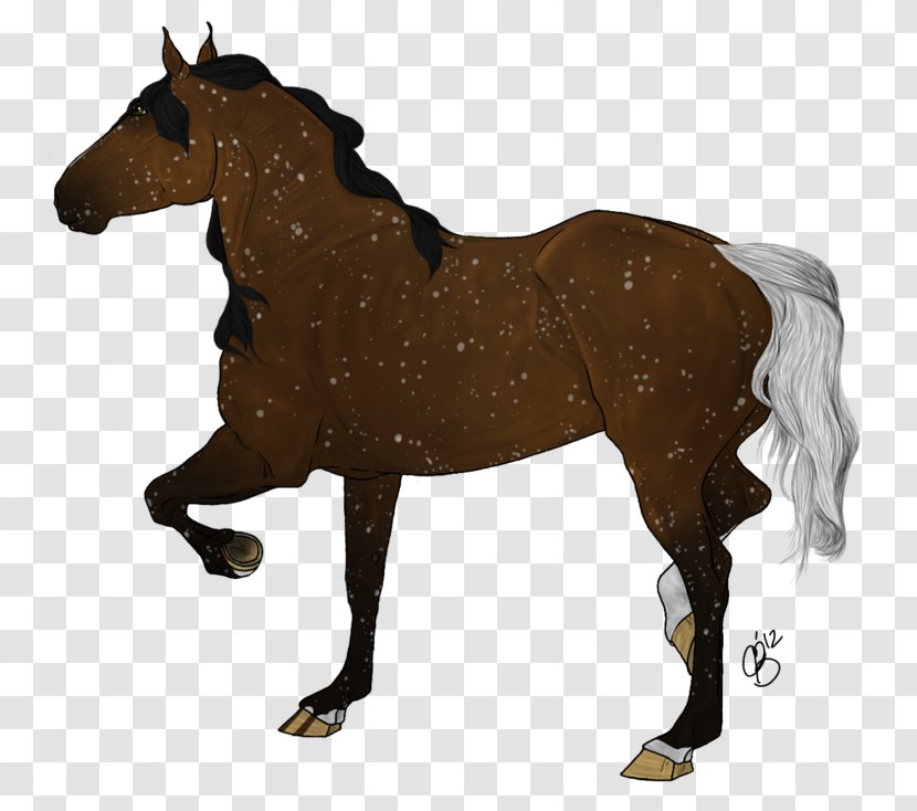 Foal Mustang Stallion Pony Mare - Animal - Shading Snowflake Transparent PNG