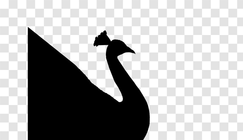 Duck Goose Bird Logo Crane - Computer - Hm Transparent PNG