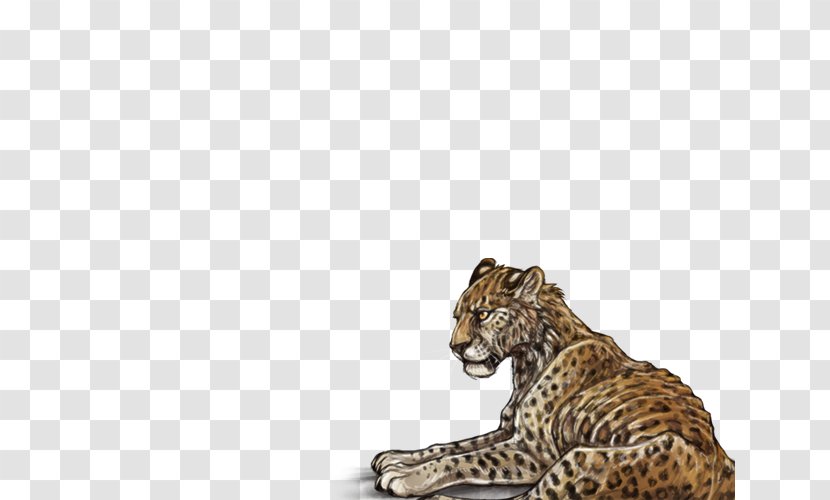 Leopard Cheetah Lion Jaguar Wildlife - Big Cats Transparent PNG
