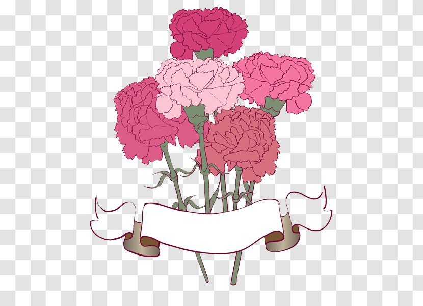The Green Carnation Drawing Flower Bouquet - Magenta - Hand-painted Chrysanthemum Transparent PNG