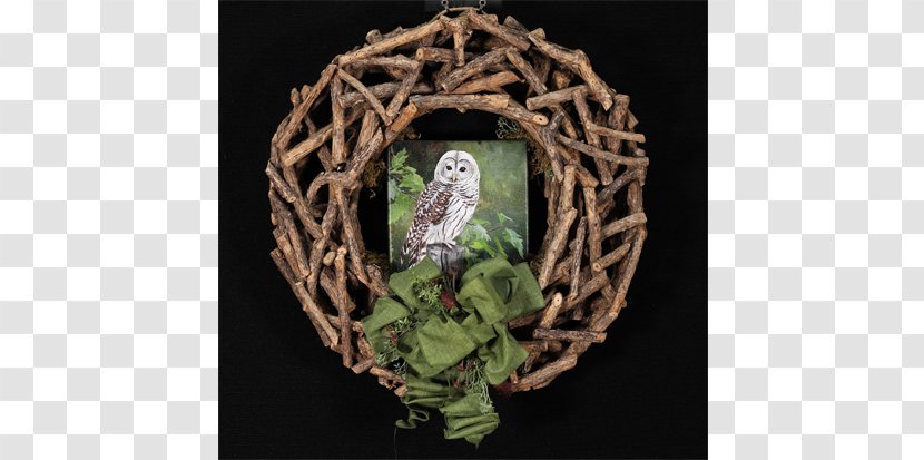 Barred Owl Bird Squirrel Feather Transparent PNG