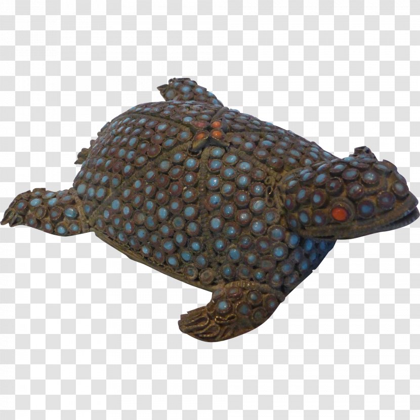 Box Turtle Tortoise Snapping Turtles Loggerhead Sea - Emydidae Transparent PNG