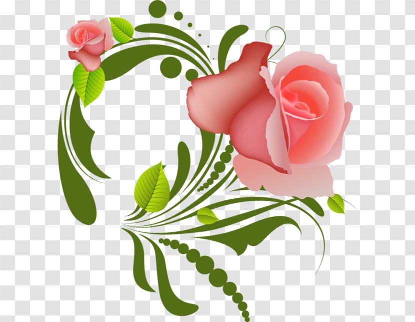 Garden Roses Flower - Pink Transparent PNG