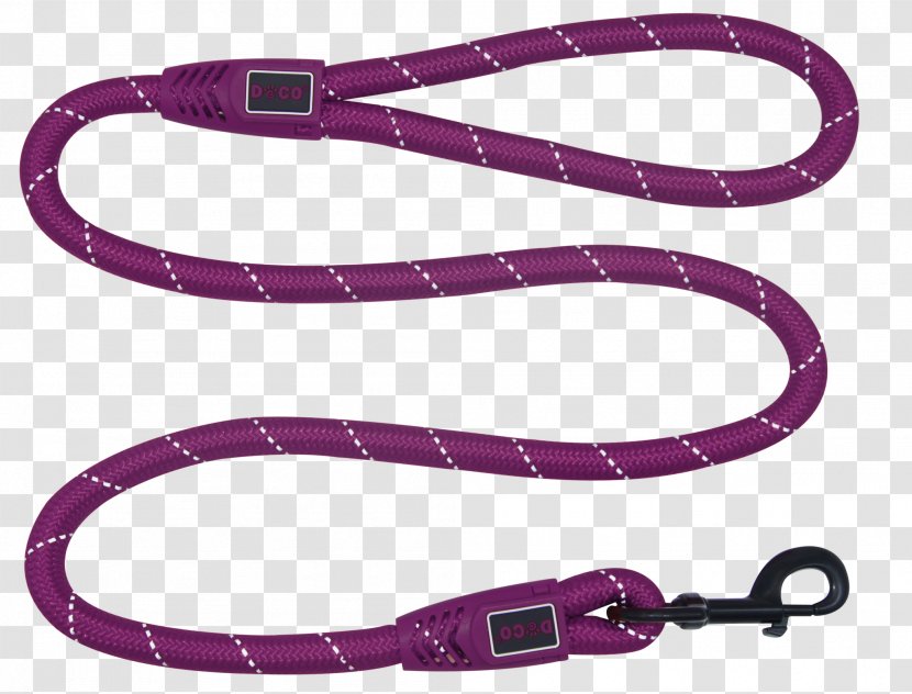 Leash Dog Rope Polyestertau Nylon - Webbing Transparent PNG