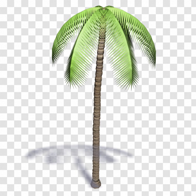 Coconut Arecaceae Autodesk Revit Building Information Modeling AutoCAD Transparent PNG