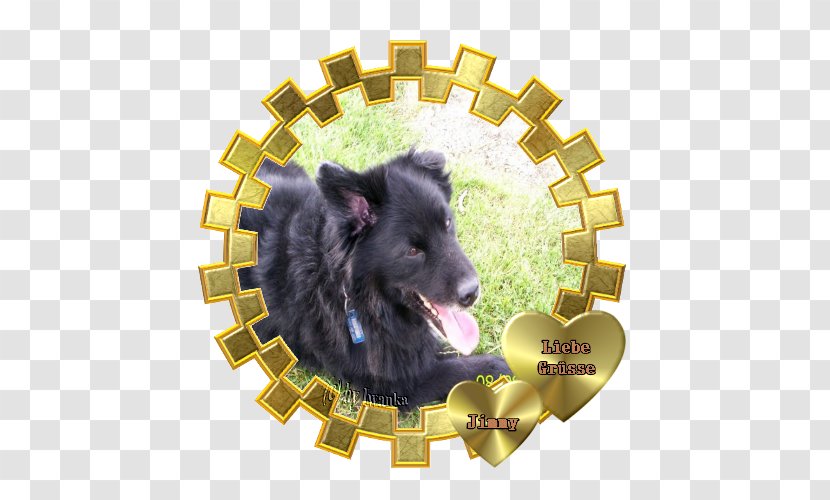 Dog Breed Wanlima Schipperke Handbag Puppy - Jimmy's Farm Transparent PNG