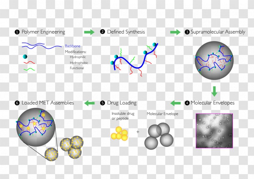 Polymer Technology Molecule Hydrophile Molecular Property - Drug-delivery Transparent PNG