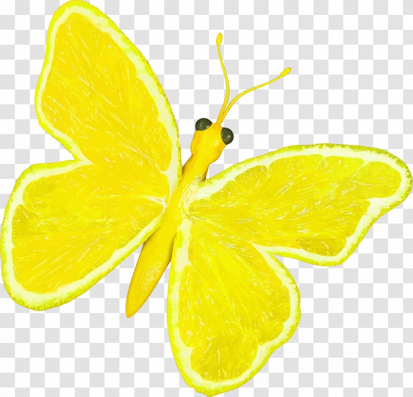 Monarch Butterfly Orange Papilio Demoleus Clip Art - Yellow - Lemon Transparent PNG