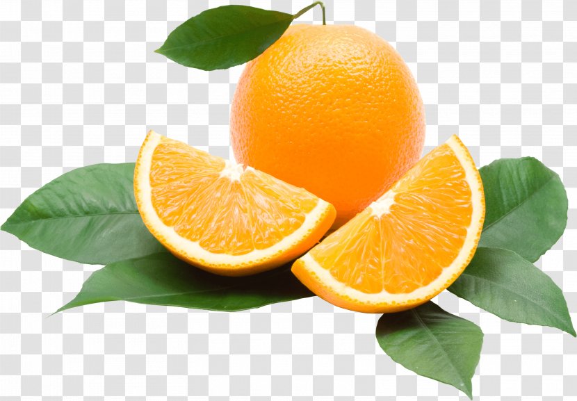Orange Juice Calorie Soft Drink - Mineral - Image Download Transparent PNG