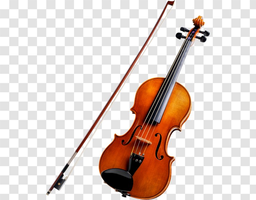 String Instruments Violin Musical Cello Viola - Violone Transparent PNG