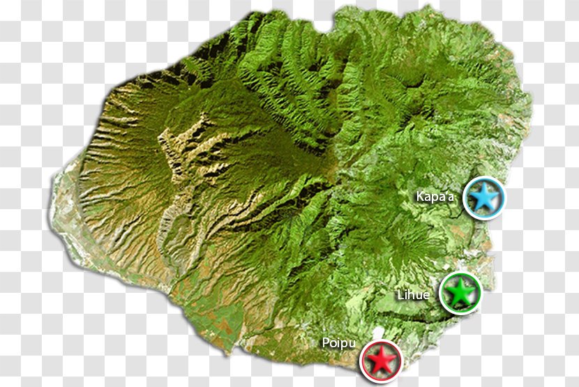 Kauai Oahu Maui Niihau Molokai - Grass - Map Transparent PNG