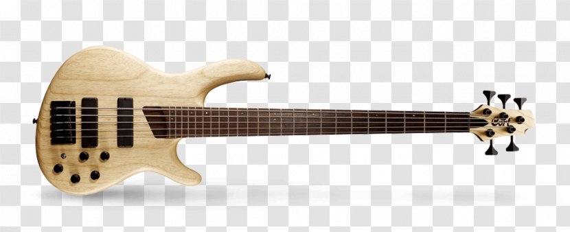 Fender Precision Bass Cort Guitars Guitar Bassist - Frame Transparent PNG