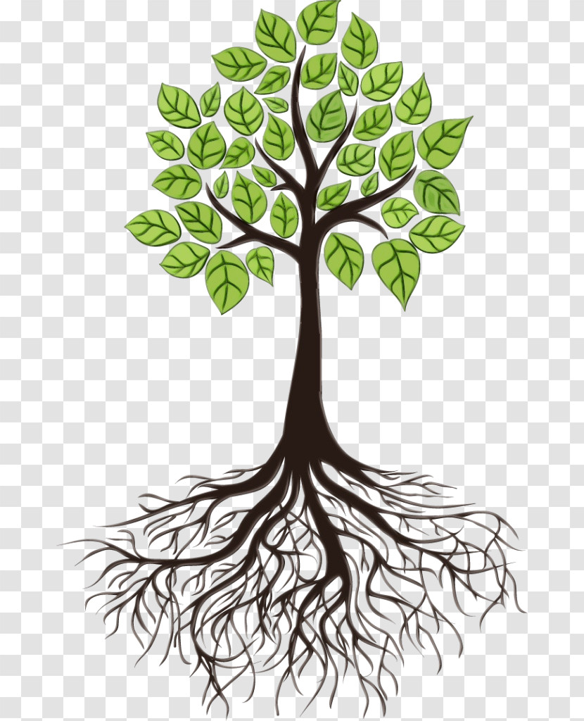Tree Root Transparent PNG