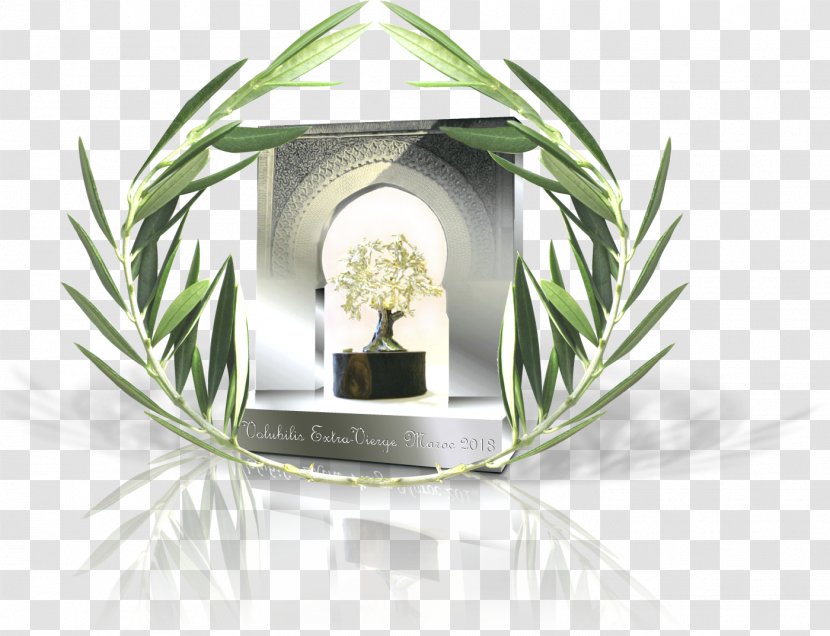 Olive Oil Moroccan Cuisine Volubilis Meknes Transparent PNG