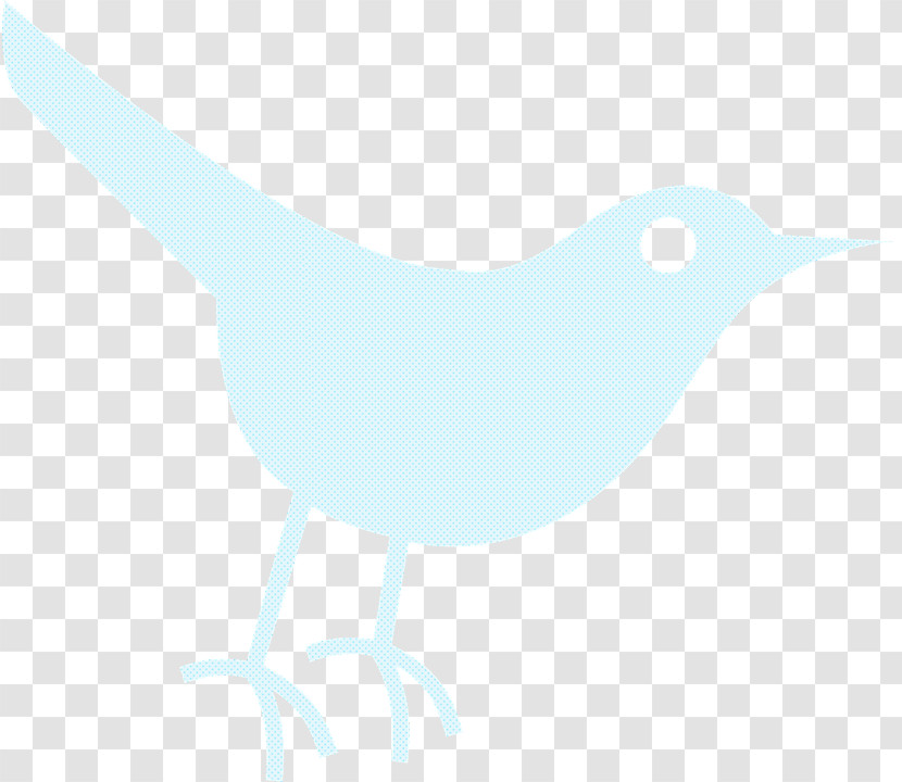 Bird Beak Seabird Wing Transparent PNG