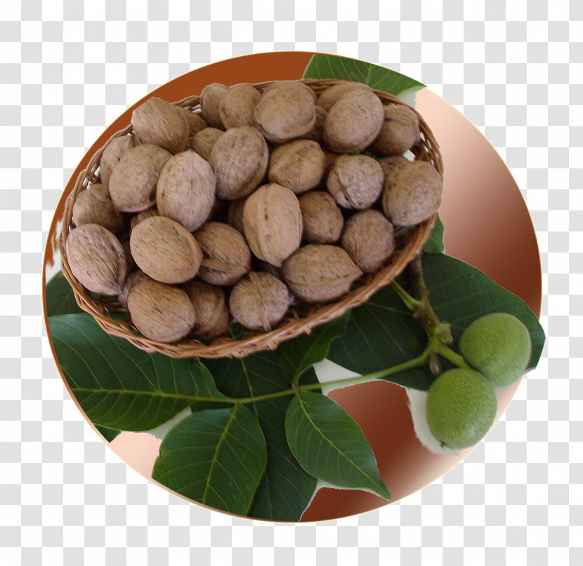 Walnut - Tree Nuts Transparent PNG