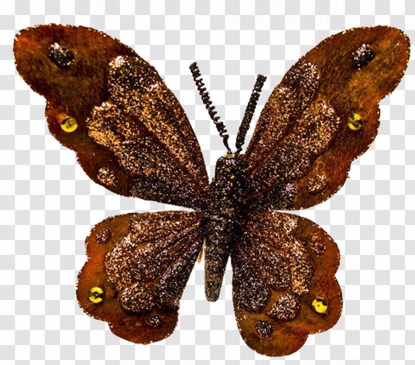 Butterfly Moth Polilla Clip Art - Askartelu Transparent PNG