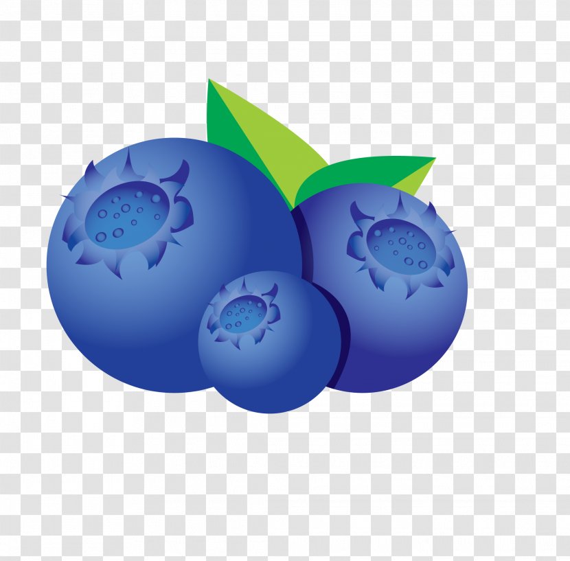 Drawing Bilberry - Can Stock Photo - Art Transparent PNG