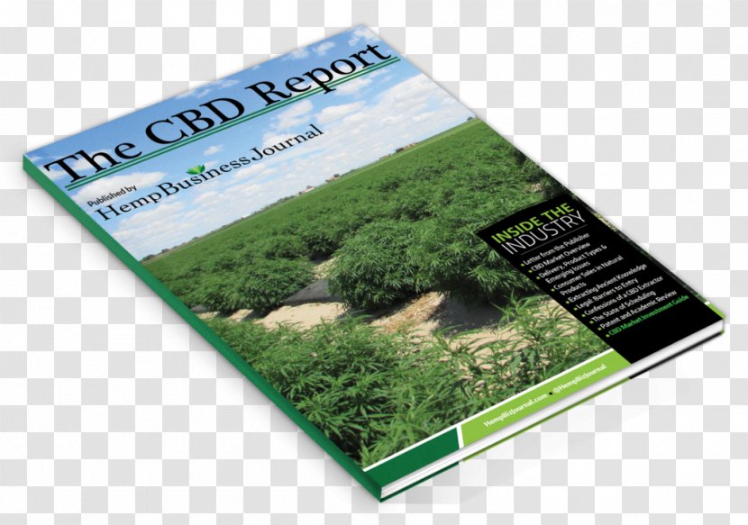 Cannabidiol Hemp Oil Cannabis Paper - Mid-cover Transparent PNG