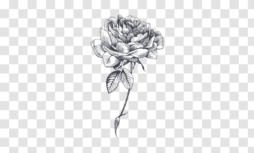 Drawing Rose YouTube Sketch - Monochrome Photography Transparent PNG