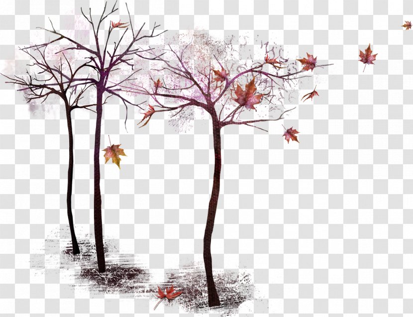 Twig Tree - Forest Transparent PNG