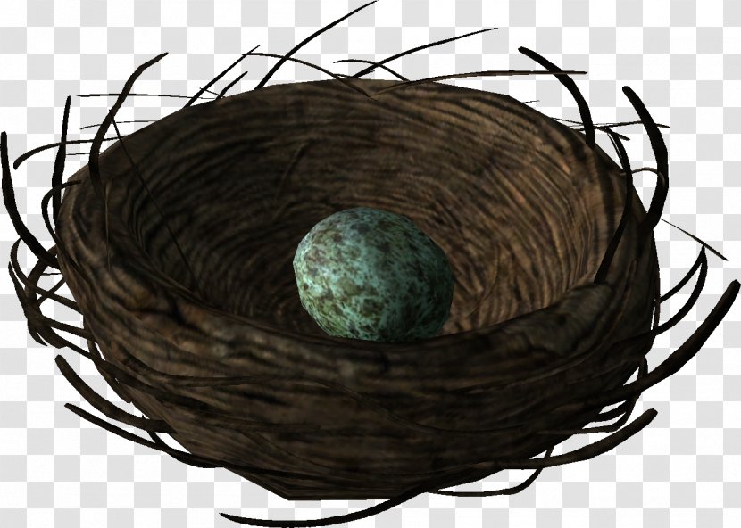 Bird Nest Egg Thrush Transparent PNG