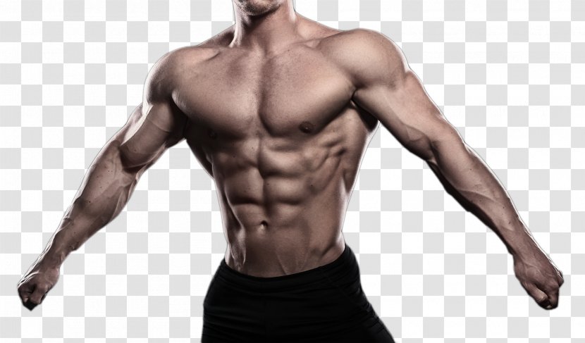 Muscle Bodybuilding Download - Flower - Open Arms Showing Man Transparent PNG