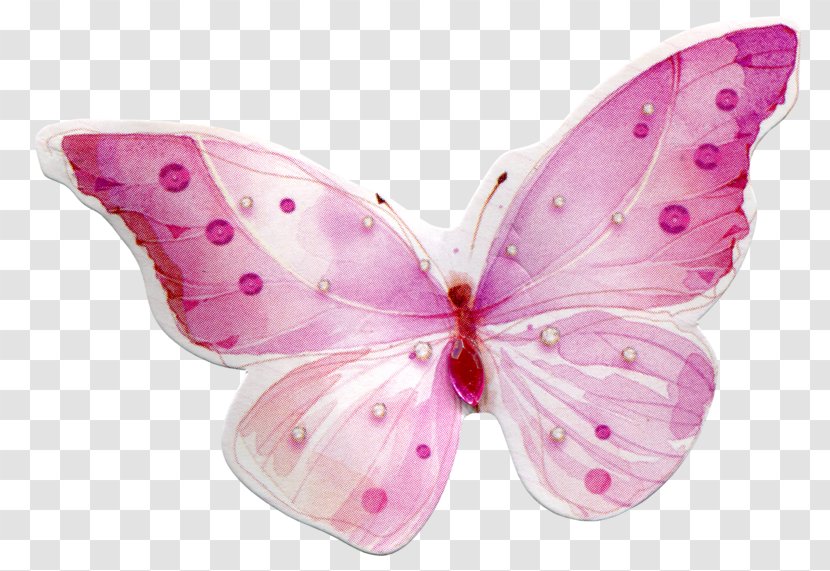 Butterfly Clip Art - Wing - Pink Transparent PNG