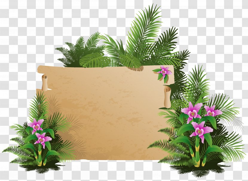 Clip Art - Plant - Summer Exotic Board Clipart Transparent PNG