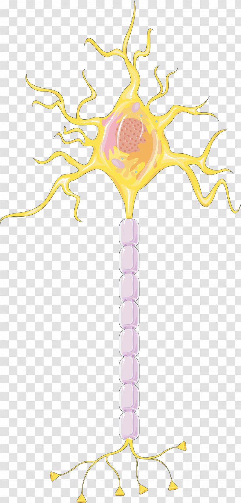 Neuron Neuromodulation Nervous System Myelin Cell - Yellow - Brain Transparent PNG