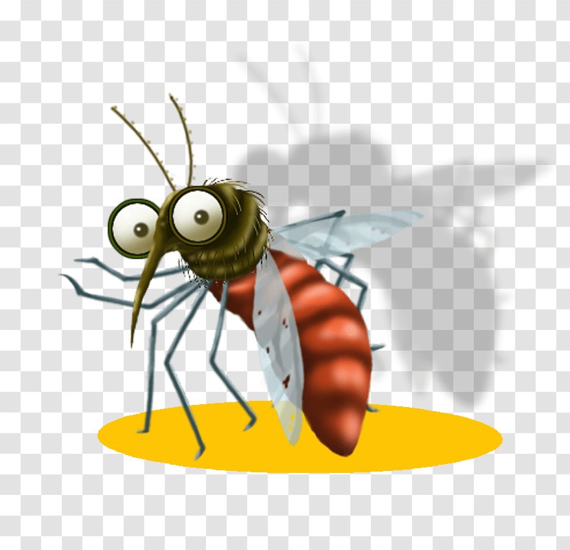 Methodist McKinney Hospital West Nile Fever Health Care - Bee - Mosquitoborne Disease Transparent PNG