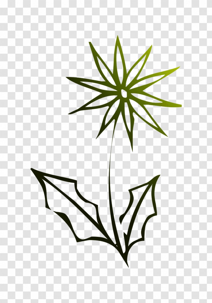 Flower Plant Stem Leaf Clip Art Line - Plants - Chlorophyta Transparent PNG