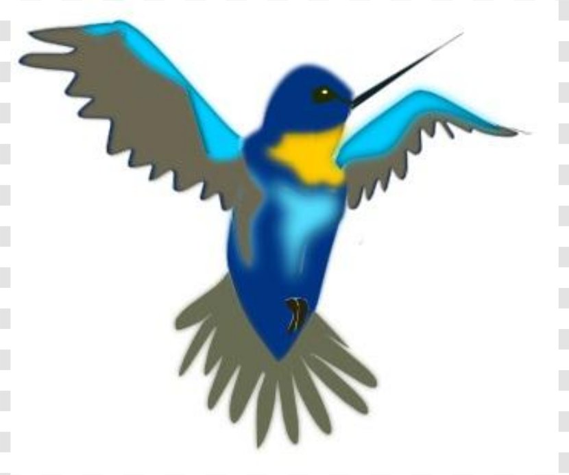 Hummingbird Cartoon Clip Art - Organism - Free Clipart Transparent PNG