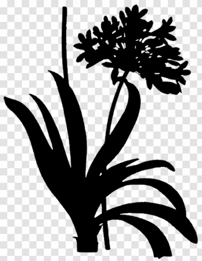 Arecales Leaf Floral Design Clip Art - Wildflower Transparent PNG
