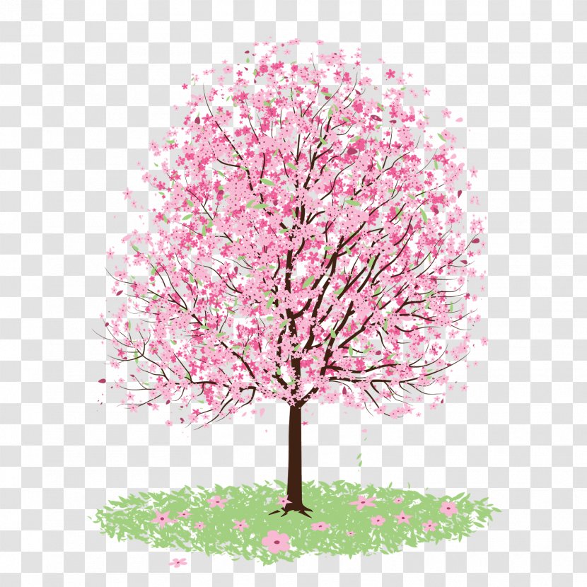 Cherry Blossom Clip Art - Logo - Sakura Tree Transparent PNG