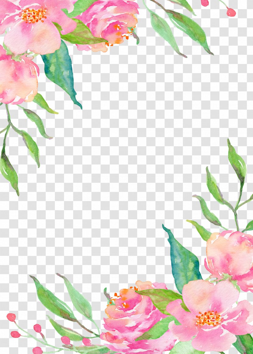 Pink Flower Borders - Bouquet - Pattern Transparent PNG