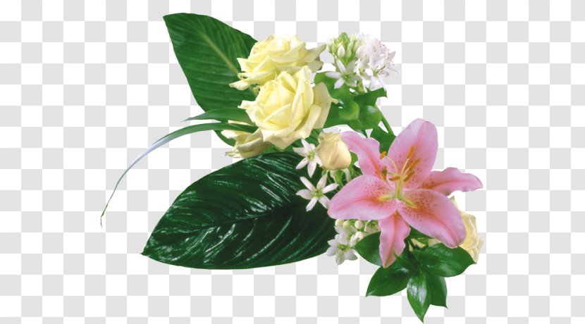 Happiness Love Gratitude Joy Luck - Flower - Friendship Transparent PNG