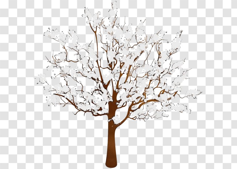 Tree Branch White Woody Plant - Wet Ink - Trunk Stem Transparent PNG