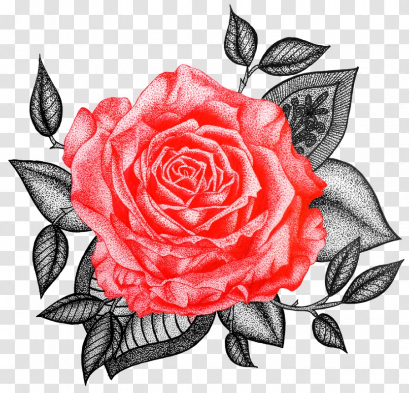 Garden Roses Cabbage Rose Floribunda Floral Design - Cut Flowers Transparent PNG