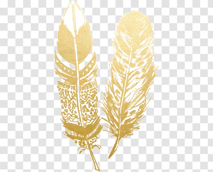 Boho-chic Feather Clip Art Drawing - Vascular Plant - Falling Leaves Angel Feathers Transparent PNG